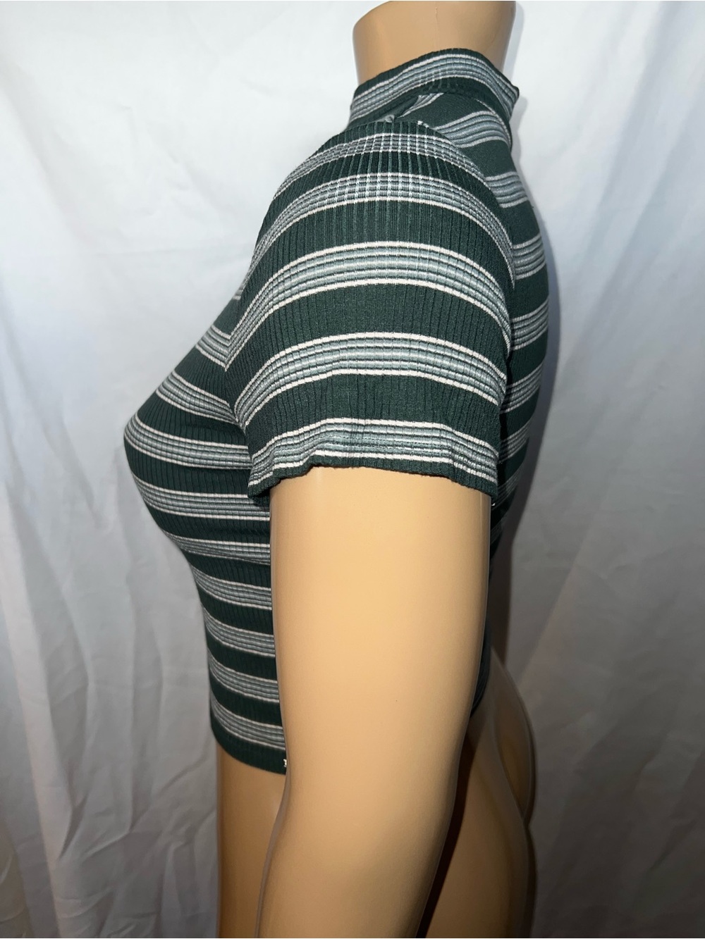 American Eagle Outfitters Dark Green and White Striped Mock Neck Crop Top - Picture 3 of 6